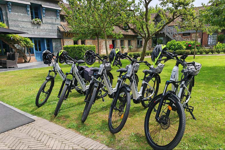 Ready to cycle?