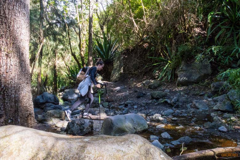 Chemin de la Chapelle de Cilaos