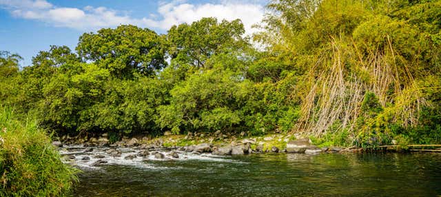 Rafting en canoë sur la rivière Marsouins