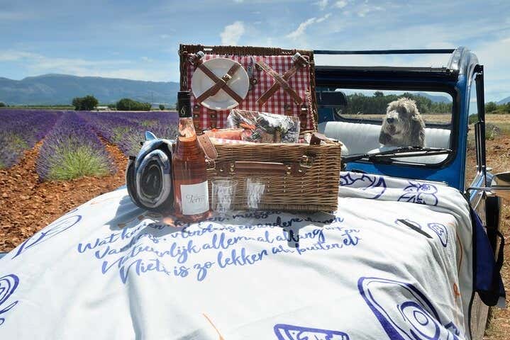 You can have a delicious picnic!