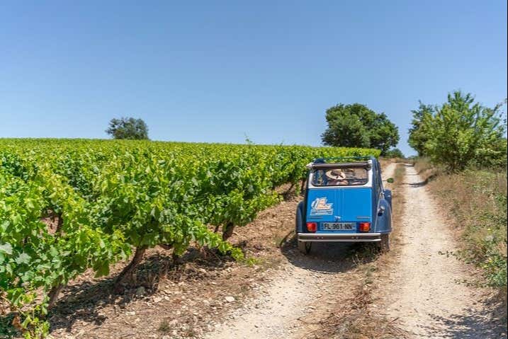 Driving around Provence's vineyards in our Citroën 2CV