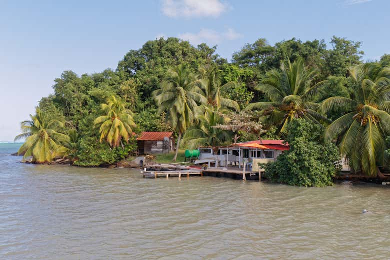 Disfrutaréis de unos exuberantes paisajes