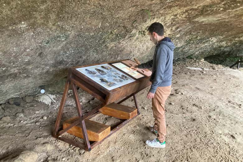 Consultando uno de los paneles de Laugerie-Basse