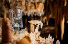 Les Eyzies Prehistoric Caves Tour