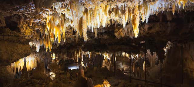 Visita guiada por la Grotte du Grand Roc