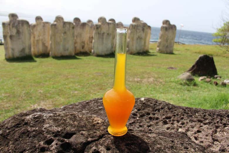 Tasting local drinks in Martinique