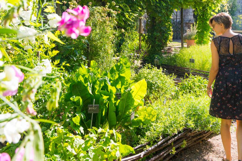 Visitando los jardines de la Ciudad Real de Loches