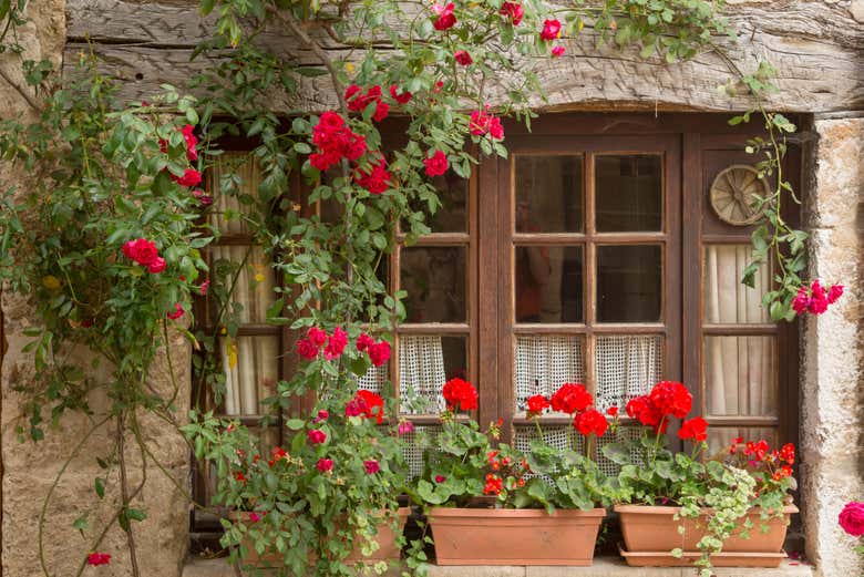 Ventana decorada con plantas y flores en Pérouges