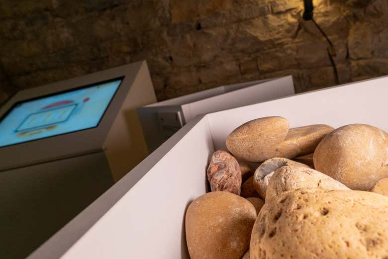 Disfrutaréis de una visita inmersiva por el museo