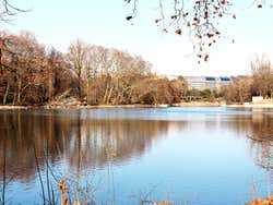 Lago del Parque de la Tête d'Or
