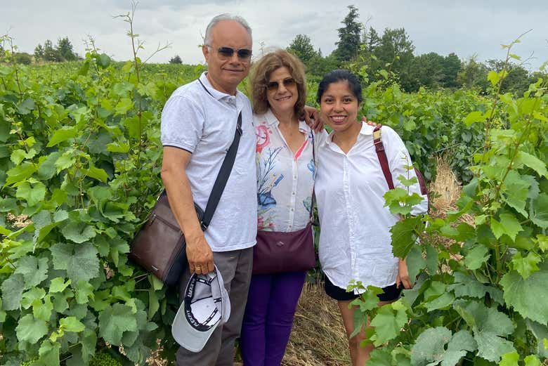 Découvrez les secrets du vin dans le Beaujolais