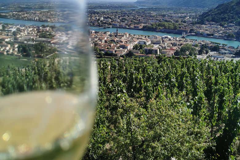 À la découverte des vins de la Vallée du Rhône