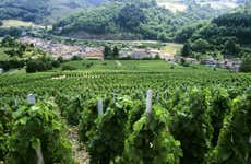 Tour de vinhedos e adegas no vale do Ródano