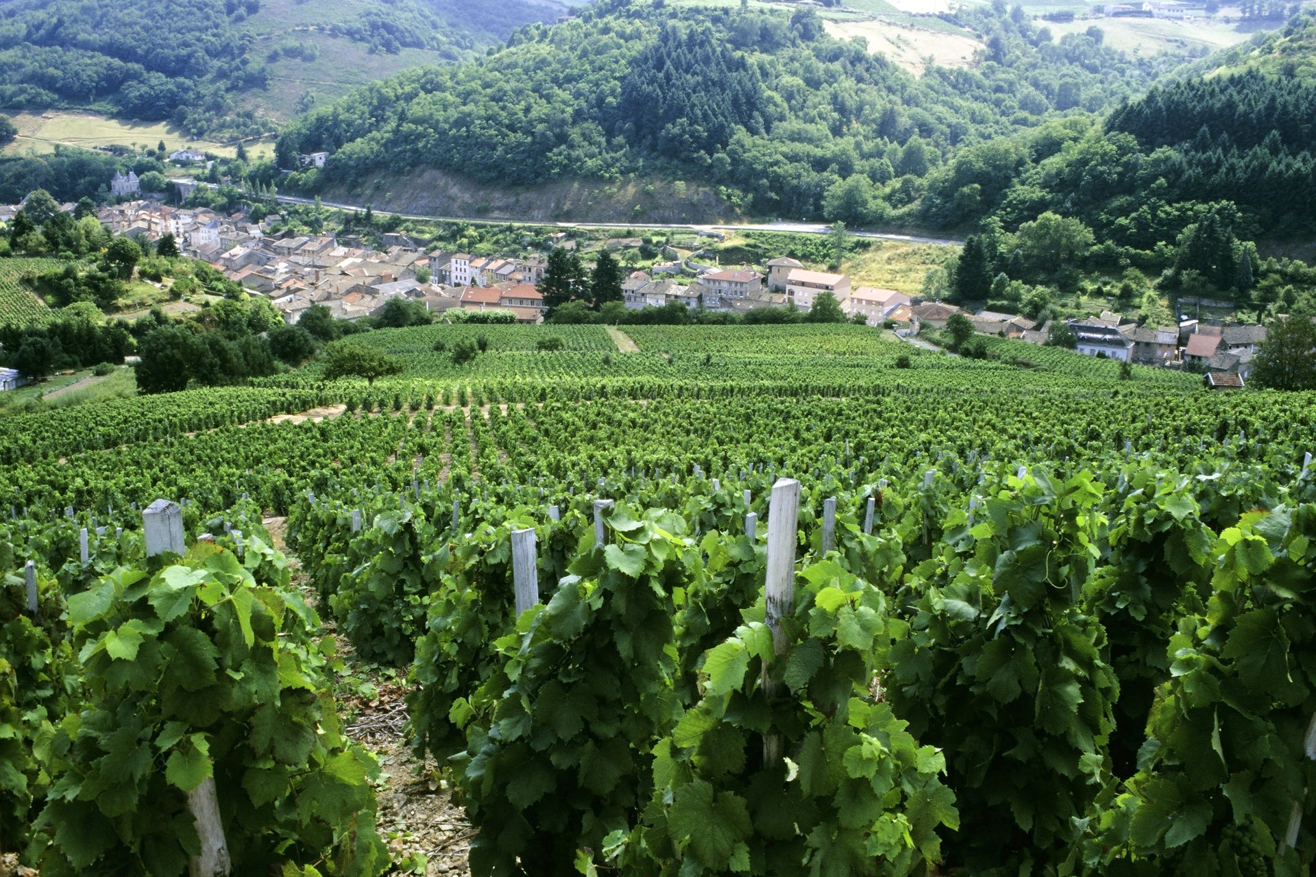 Excursion à la découverte des vins de la Vallée du Rhône