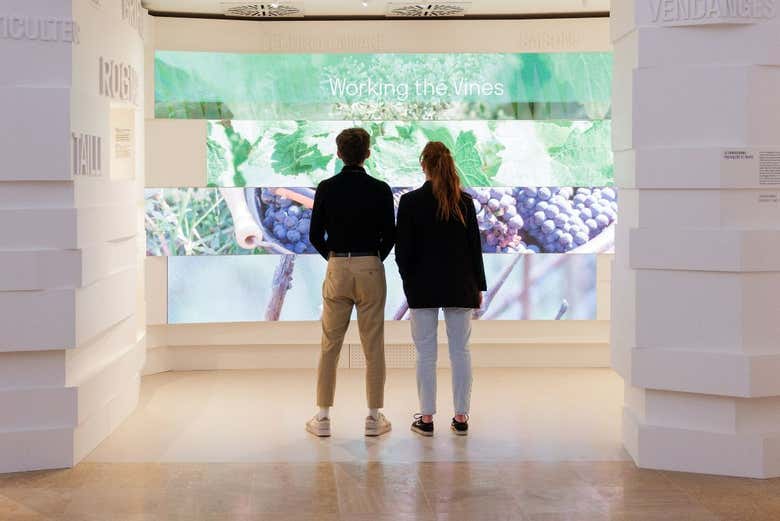 Learn about the secrets behind wine making