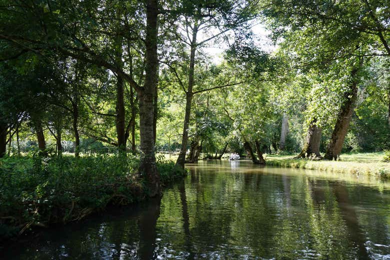 Marais Poitevin