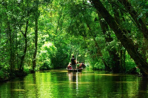 Balade en barque dans Magné
