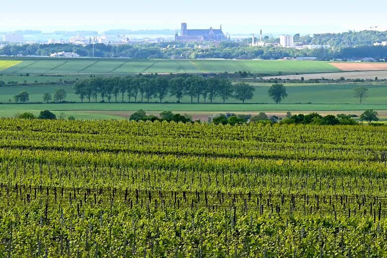 Panorama di Mailly-Champagne