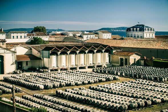 Visite de la Maison Noilly Prat