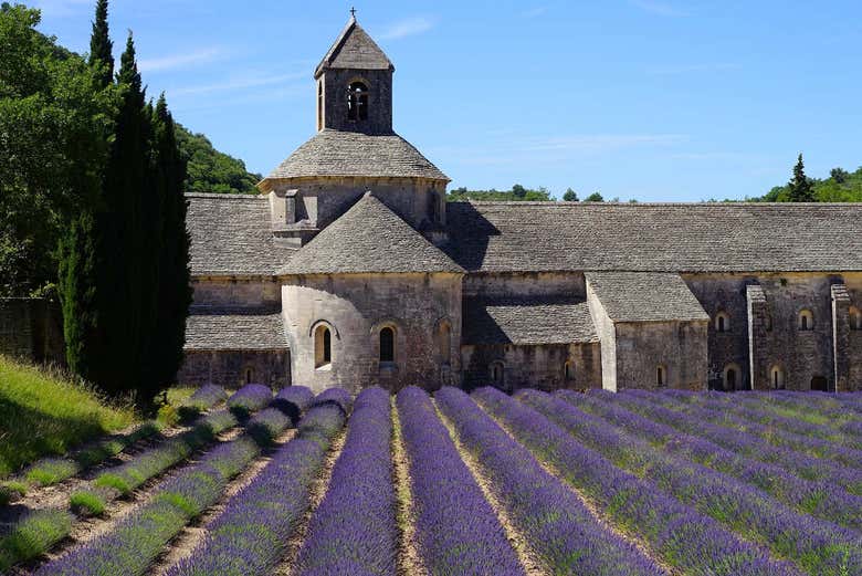 L'abbaye de Sénanque
