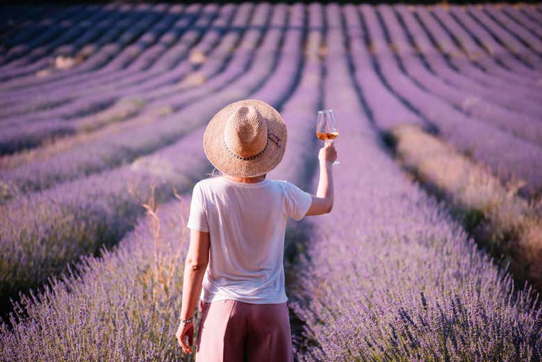 Brindisi in un campo di lavanda