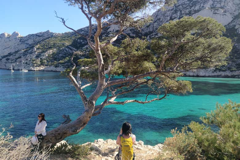 Prenez en photo la calanque de Sormiou