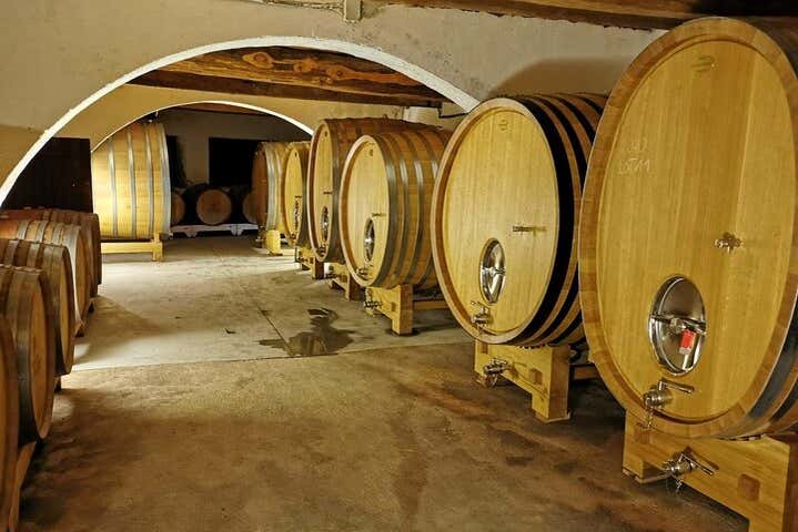 Visiting a winery in Provence