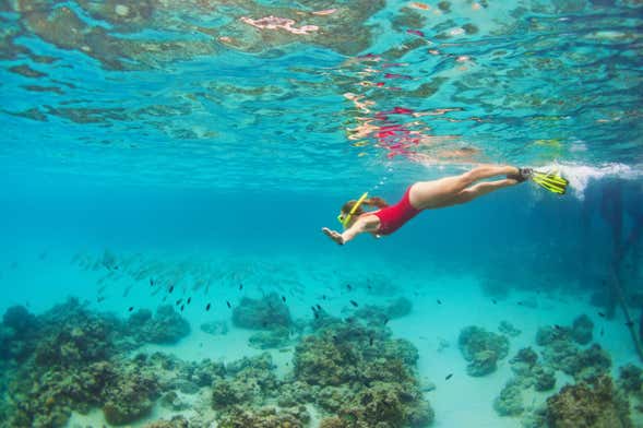 Senderismo y snorkel en la costa de Marsella