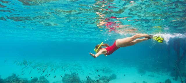 Snorkel en la costa de Marsella