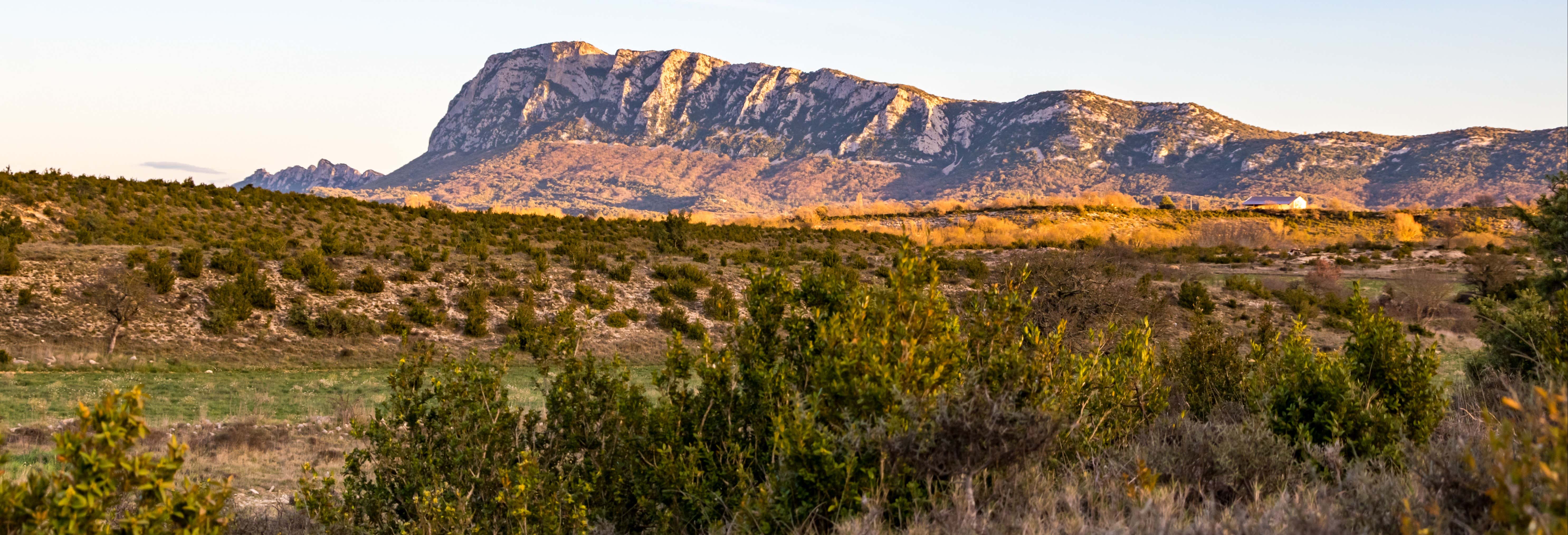 Excursiones de un día en Montpellier