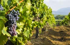 Excursión a las Terrasses du Larzac