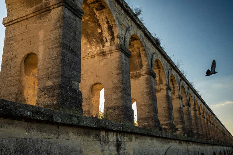 Make the most of your time in Montpellier!