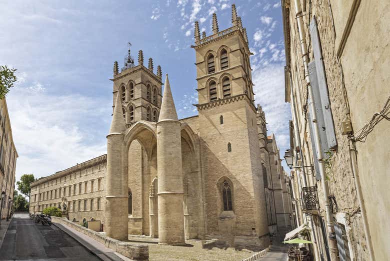 Catedral de Montpellier