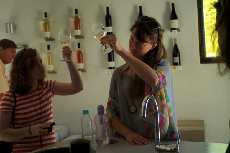 Trying different types of French wine in Languedoc