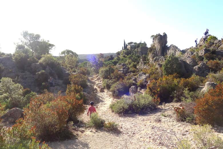 Natura nella valle di Hérault