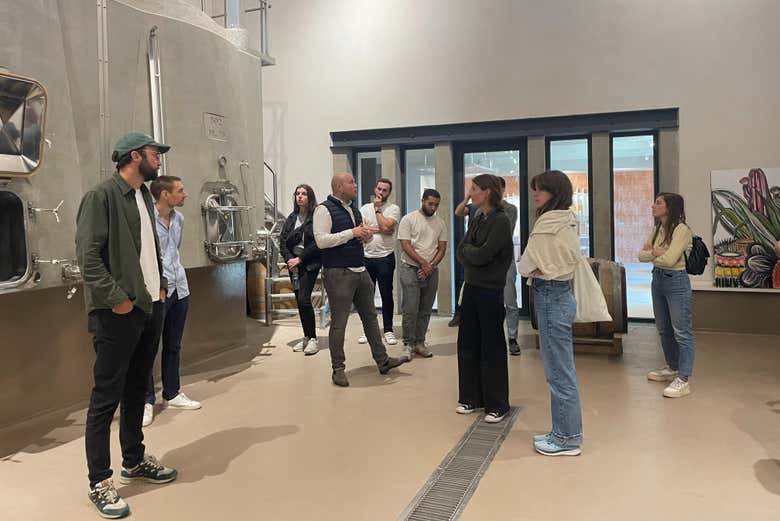 Visitando a sala de barris de uma adega