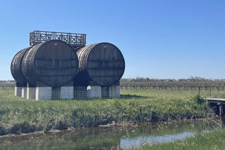 Os barris estão localizados ao lado das salinas de Aigues-Mortes