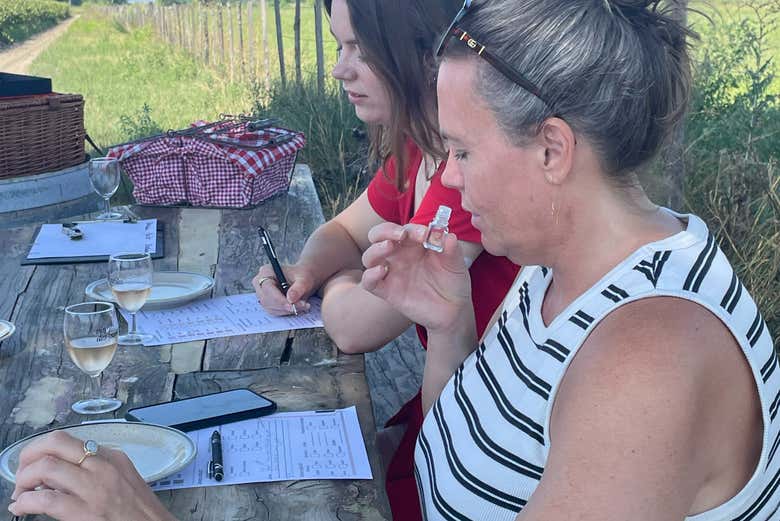 Descobrindo os aromas dos vinhos da Camarga