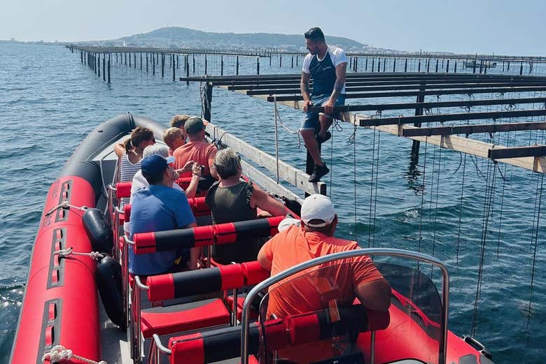 Turistas llegando en bote a una de las granjas ostrícolas