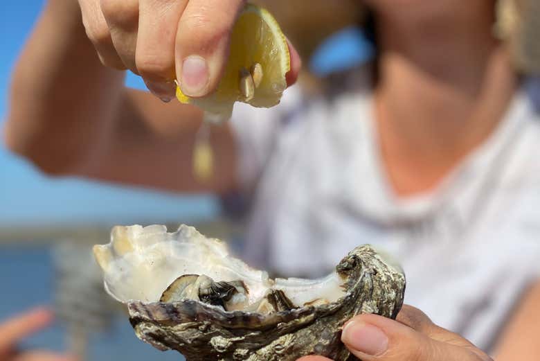 Degustación de ostras en Étang de Thau