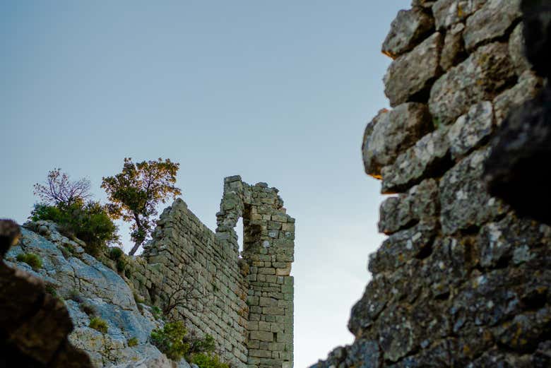 Paysage du Pic Saint-Loup