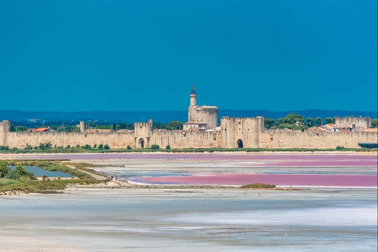 Las salinas de Camarga