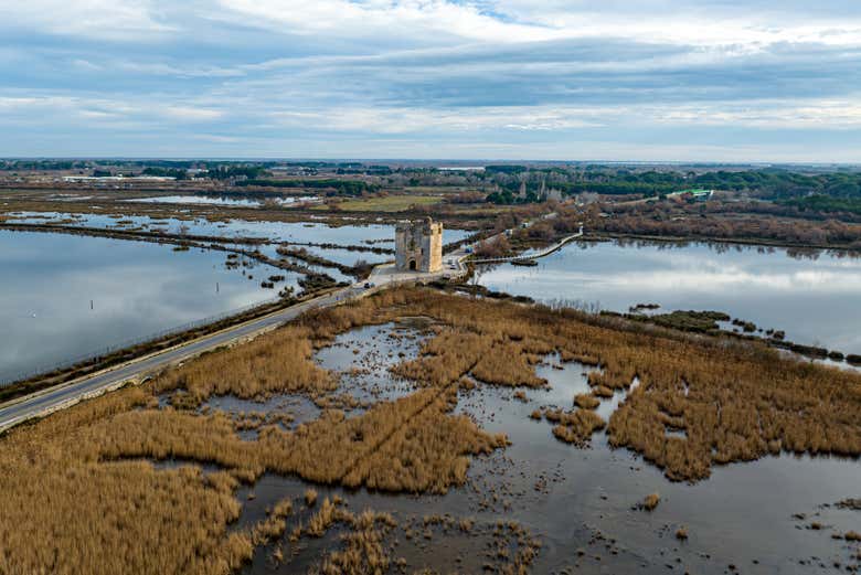 Paisaje de los arrozales y marismas