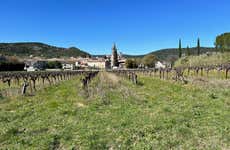 Rhône Valley Wine & Truffle Tour