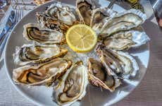Montpellier Wine + Oyster Tasting Tour