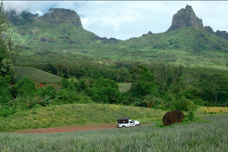 Panoramica di Moorea