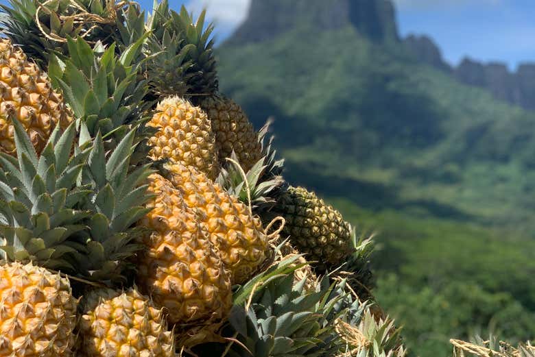 El fruto más popular de toda la isla
