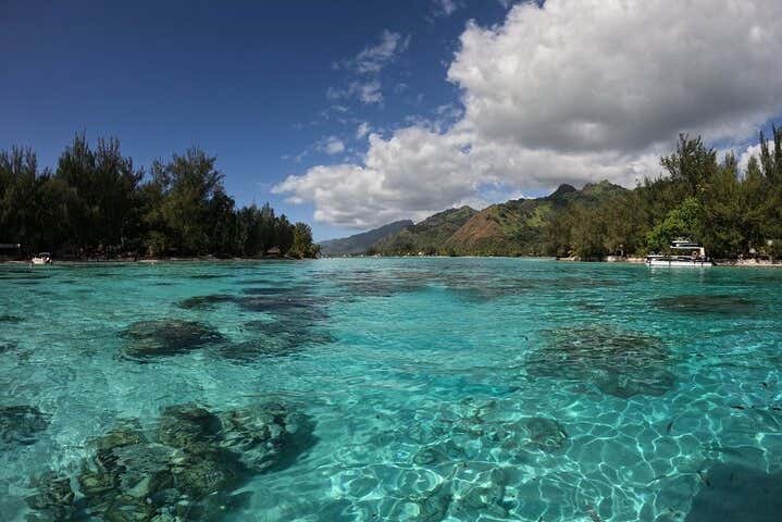 Vamos passear entre montículos de coral e peixes coloridos
