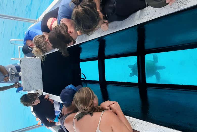 Barco com fundo de vidro