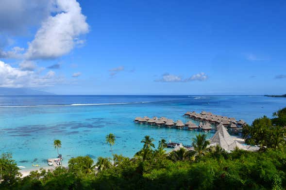 Mo'orea Private Tour